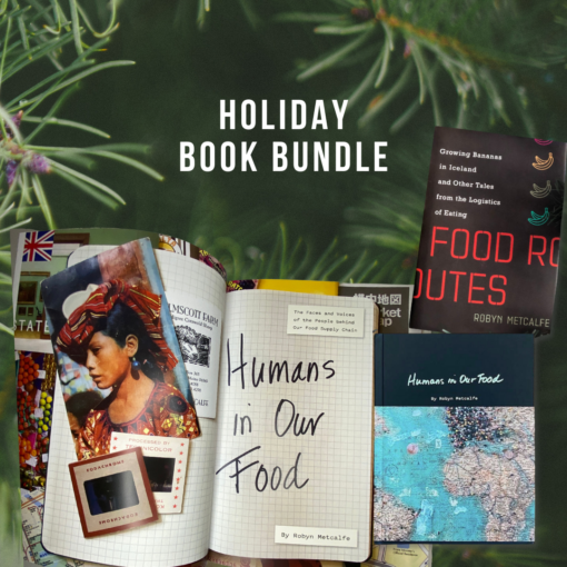Holiday Book Bundle by Robyn S Metcalfe